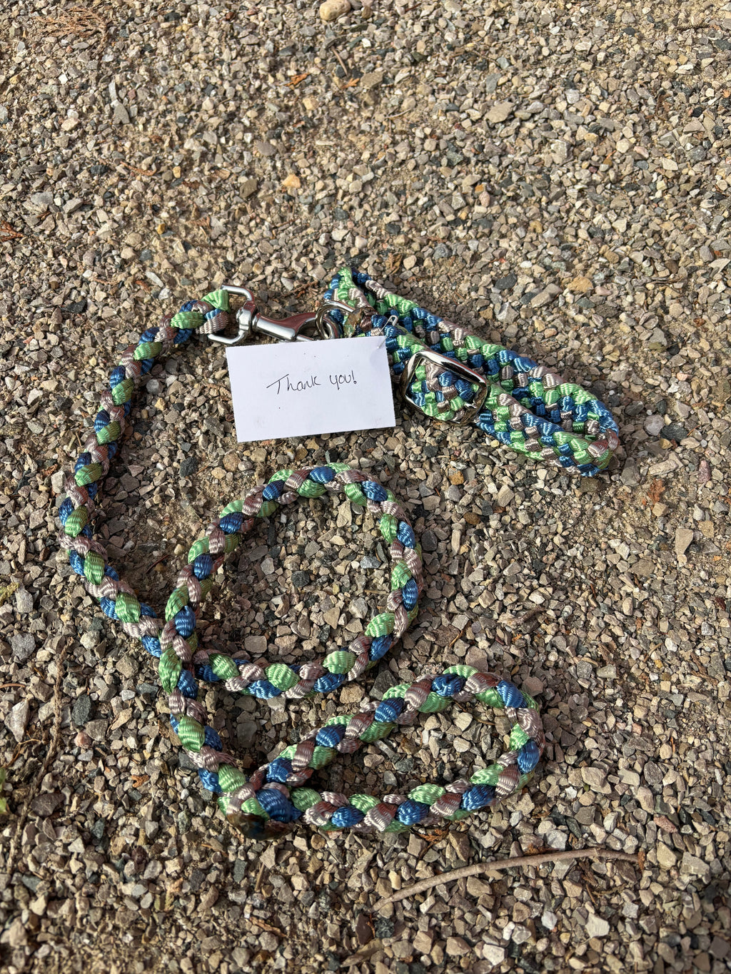 Custom Dog Collar and Leash