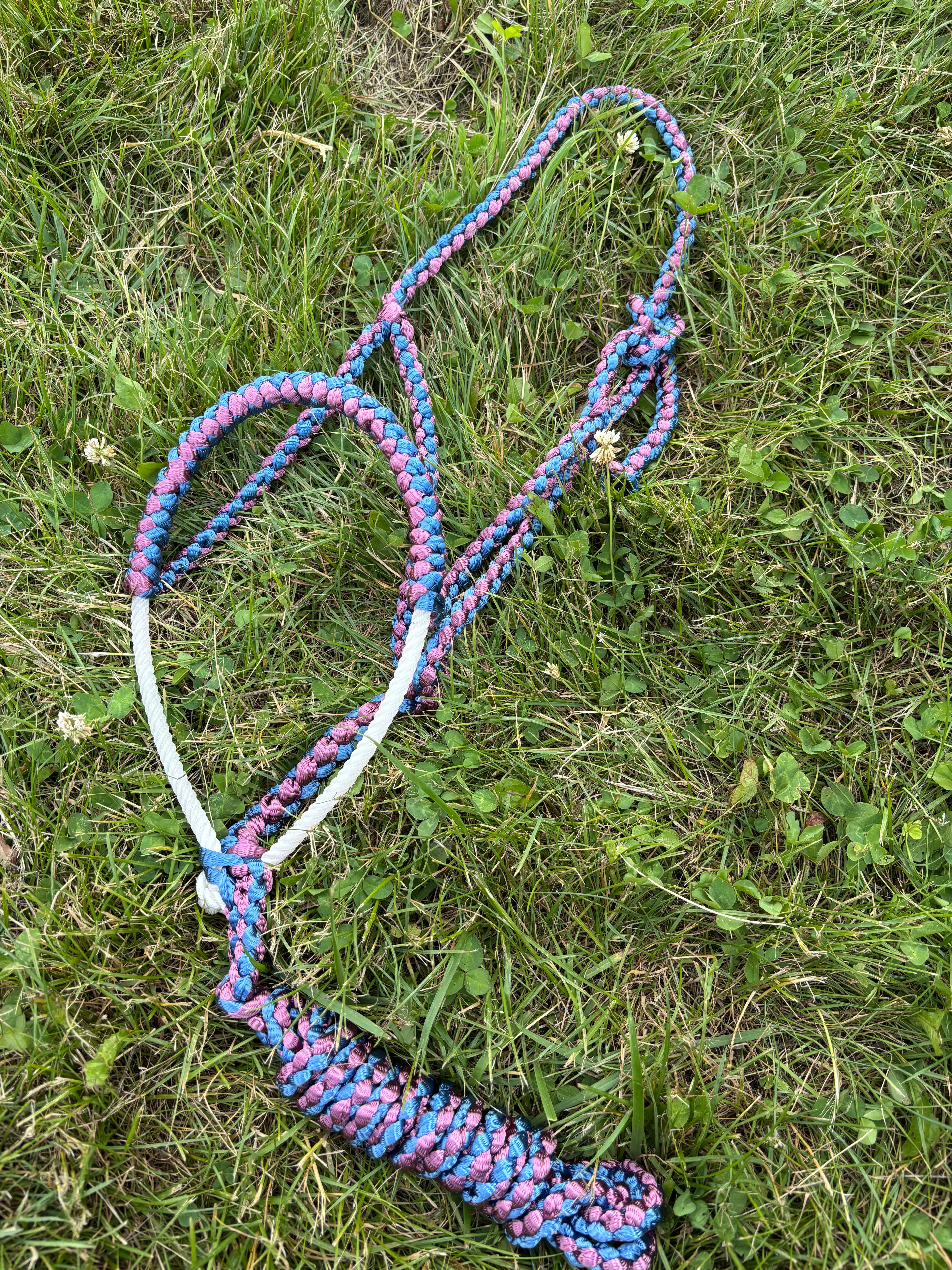 Custom Lariat Mule Tape Halter Without Hardware