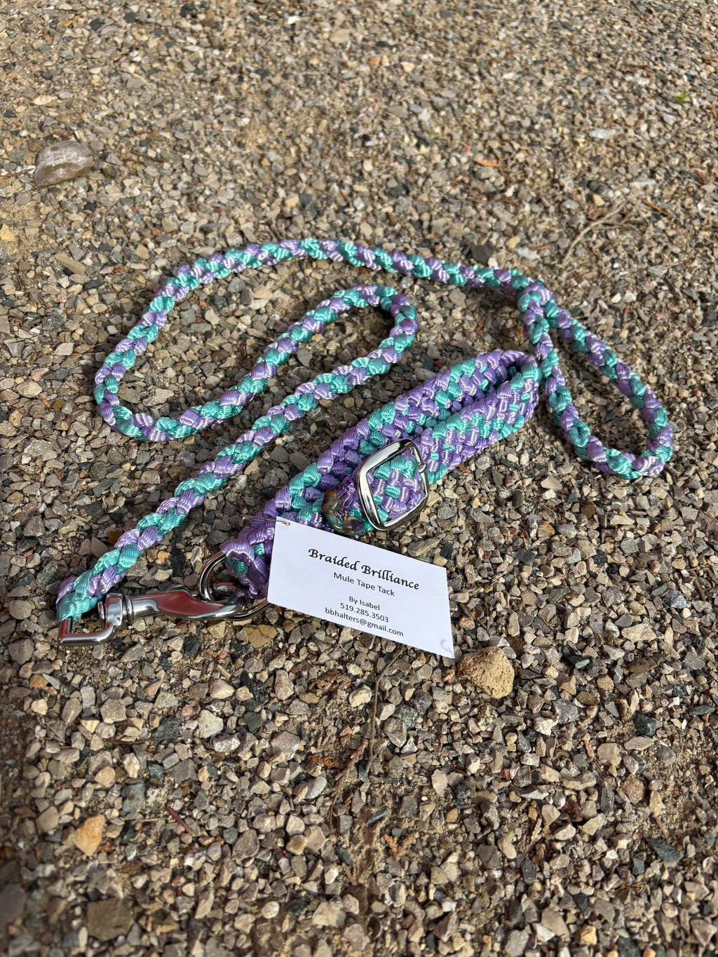 Custom Dog Collar and Leash