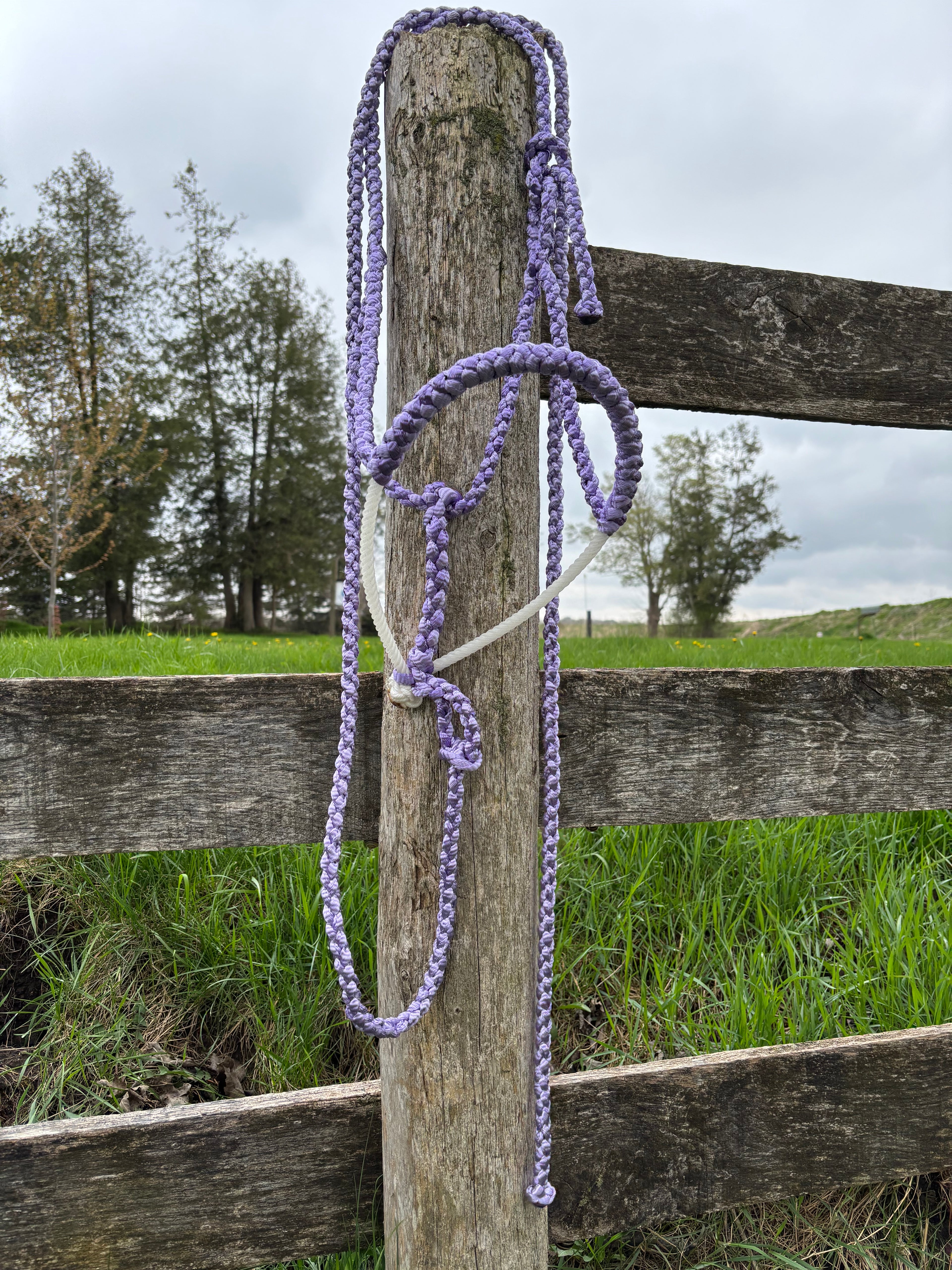 Custom Lariat Mule Tape Halter Without Hardware