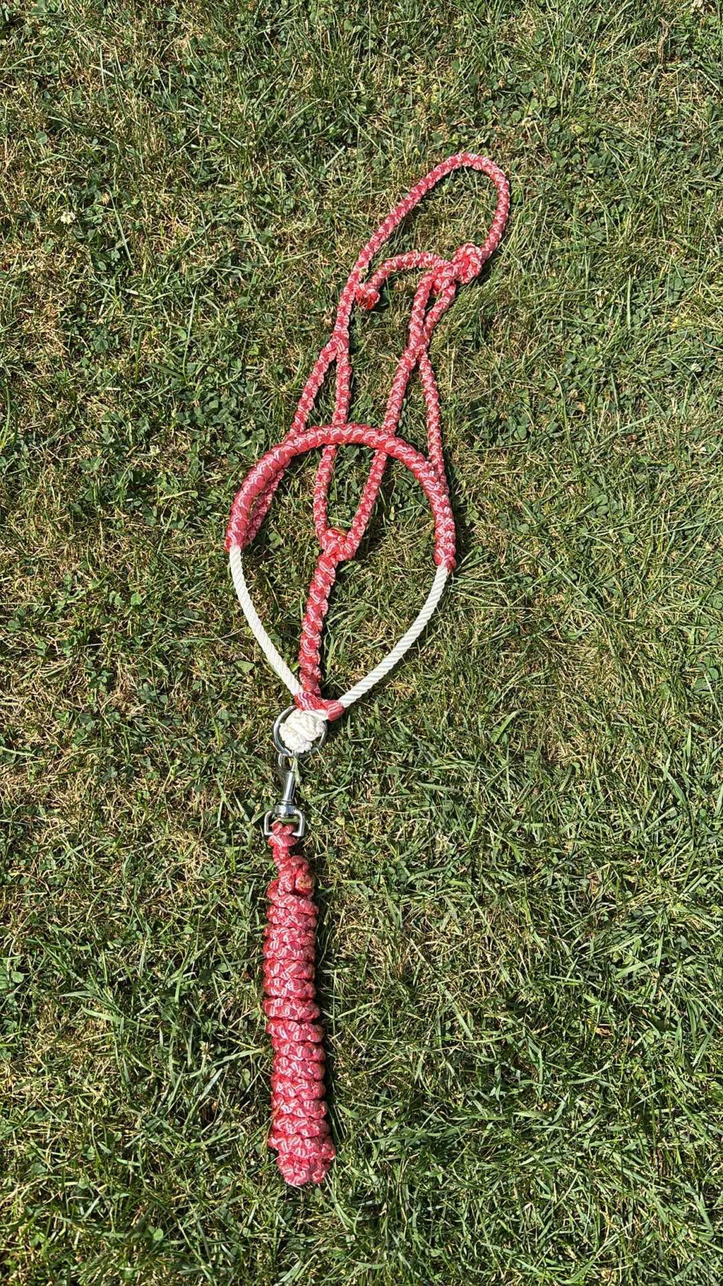 Custom Lariat Mule Tape Halter With Hardware