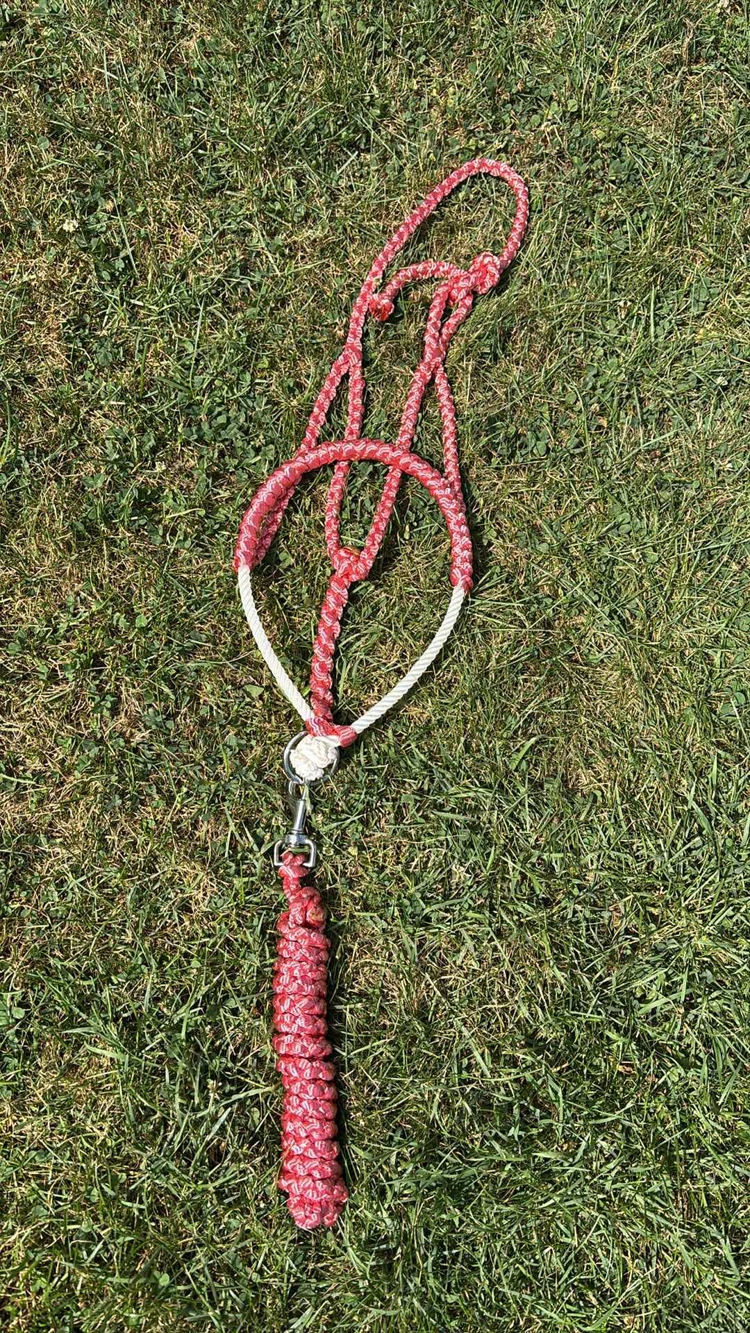 Custom Lariat Mule Tape Halter With Hardware