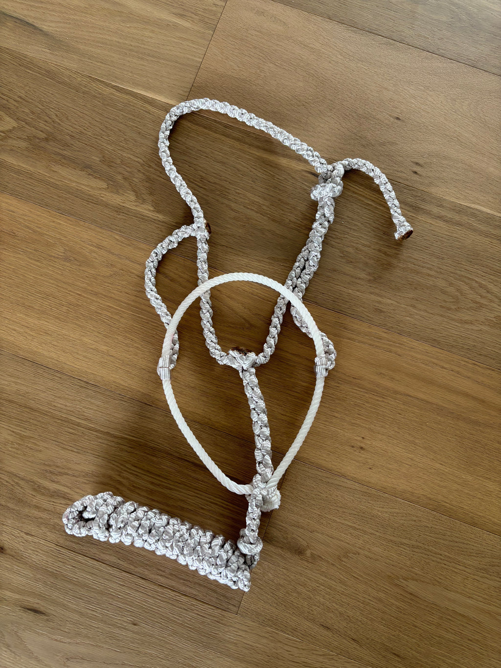 Custom Lariat Mule Tape Halter (No Noseband or Hareware)