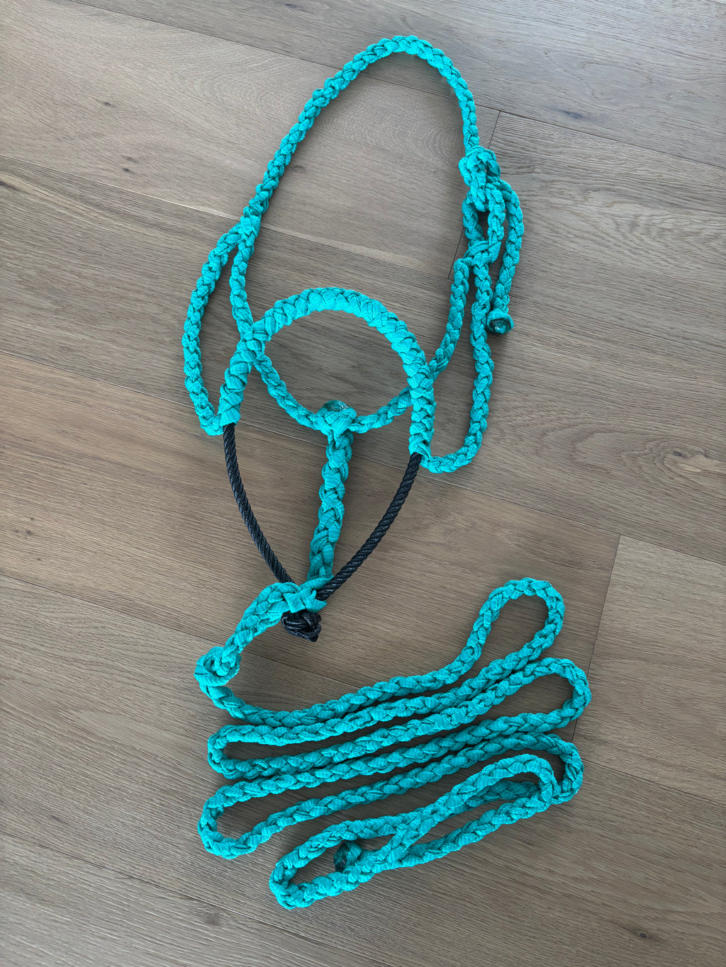 Custom Lariat Mule Tape Halter Without Hardware