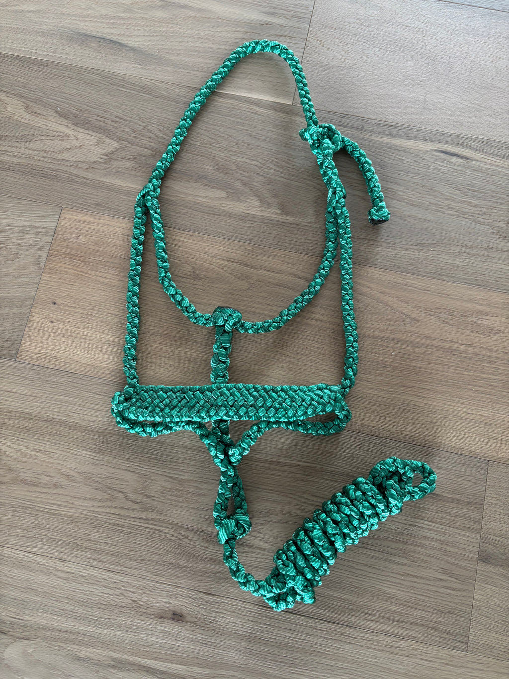 Custom Flat Braid Mule Tape Halter Without Hardware