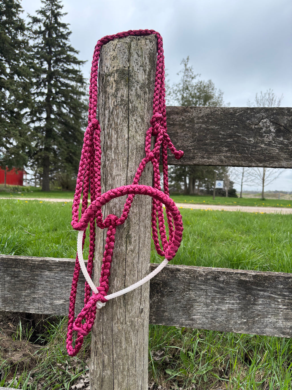 Custom Lariat Mule Tape Halter Without Hardware
