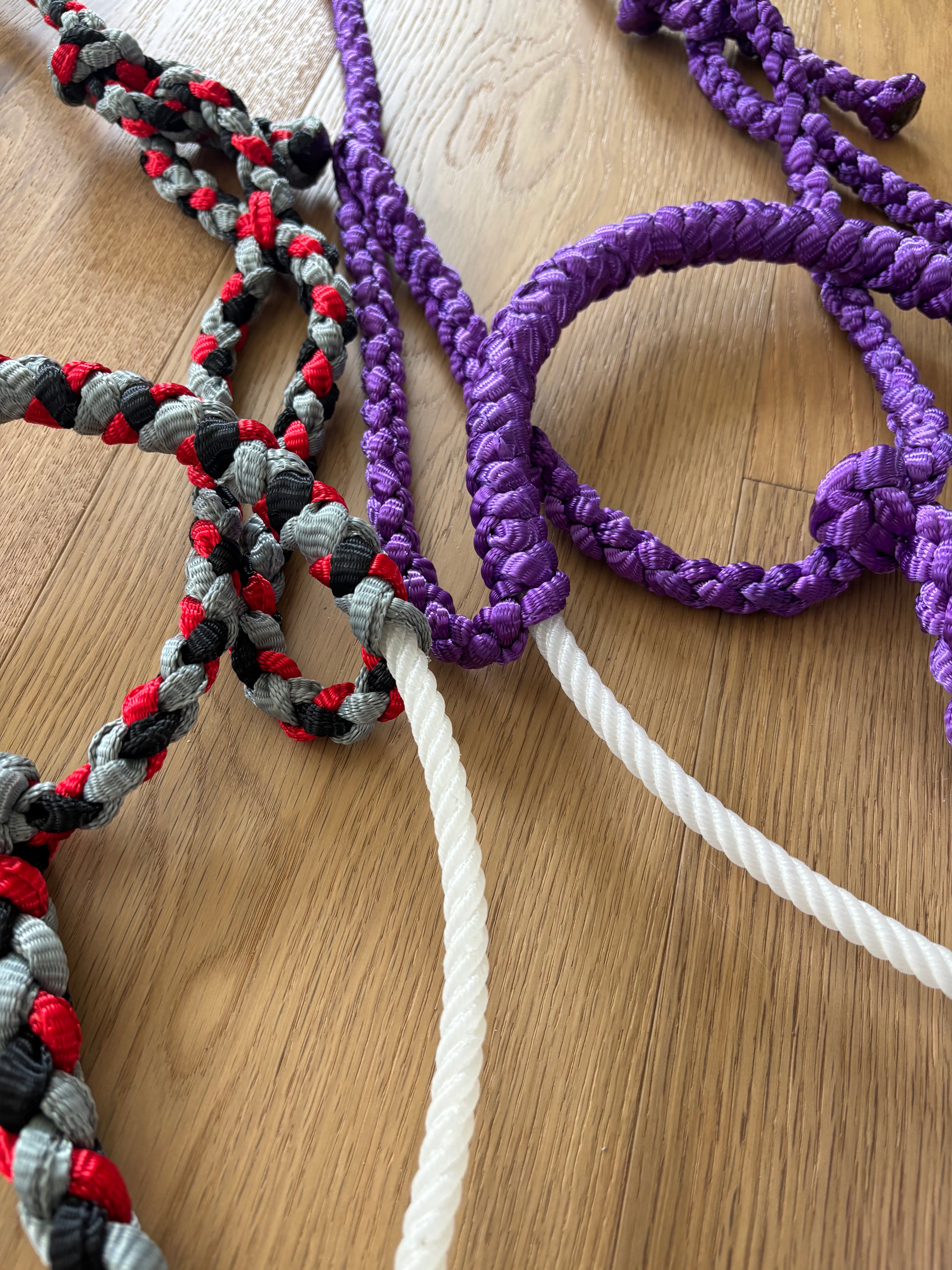 Lariat halters