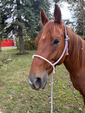 Custom Lariat Mule Tape Halter (No Noseband or Hareware)