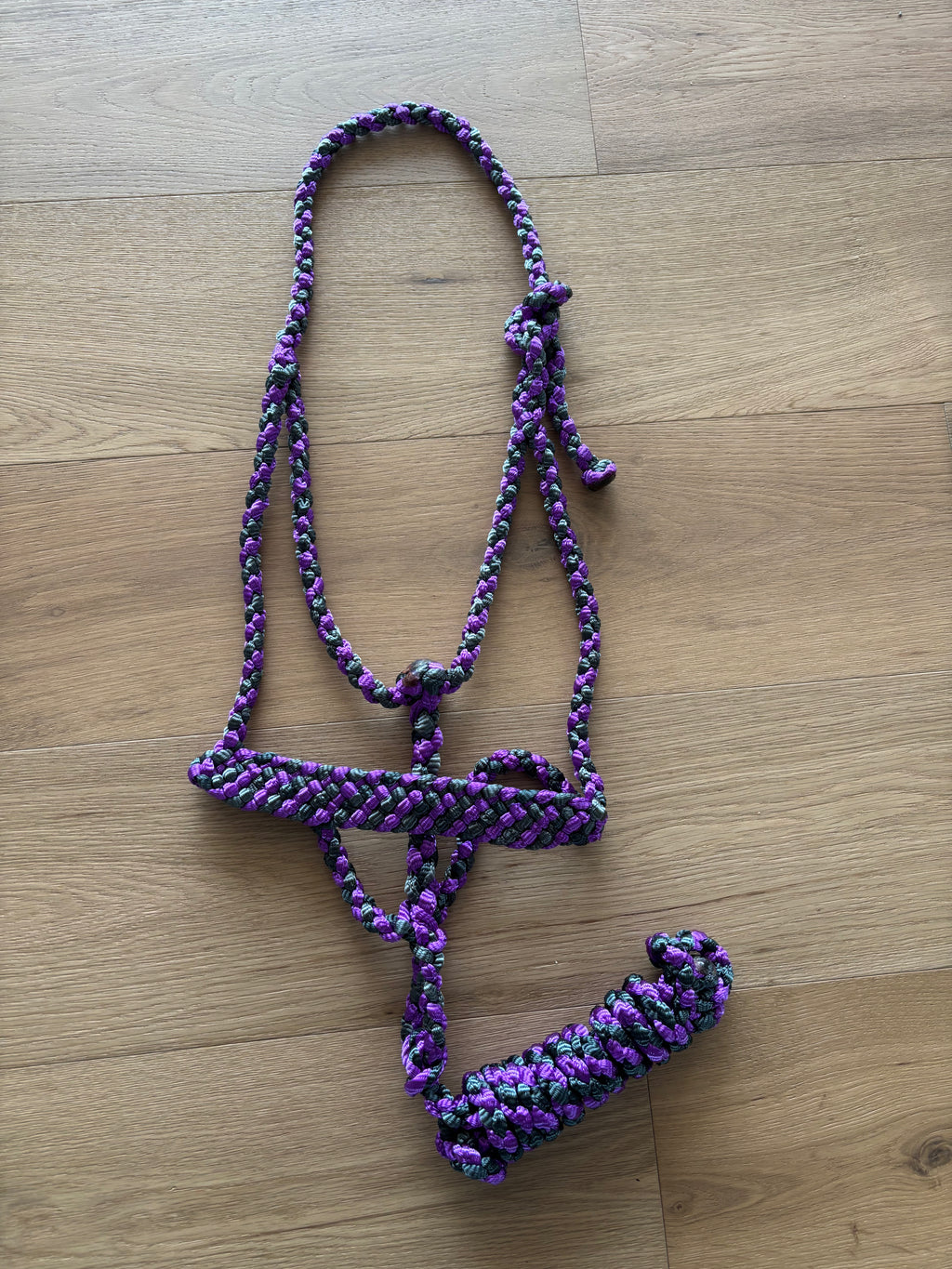 Custom Flat Braid Mule Tape Halter Without Hardware