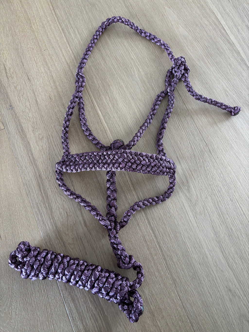 Custom Flat Braid Mule Tape Halter Without Hardware