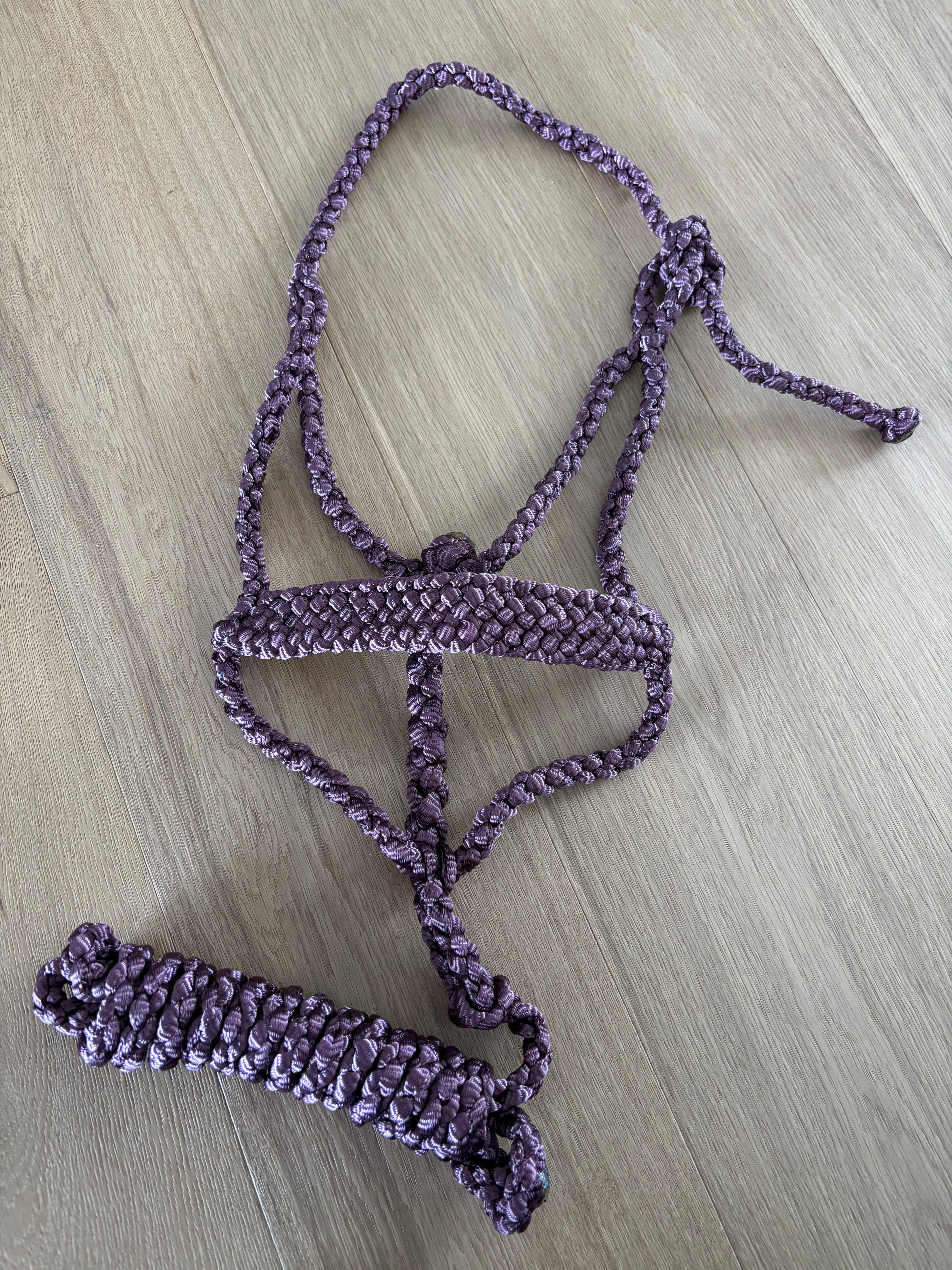 Flat Braid Mule Tape Halter