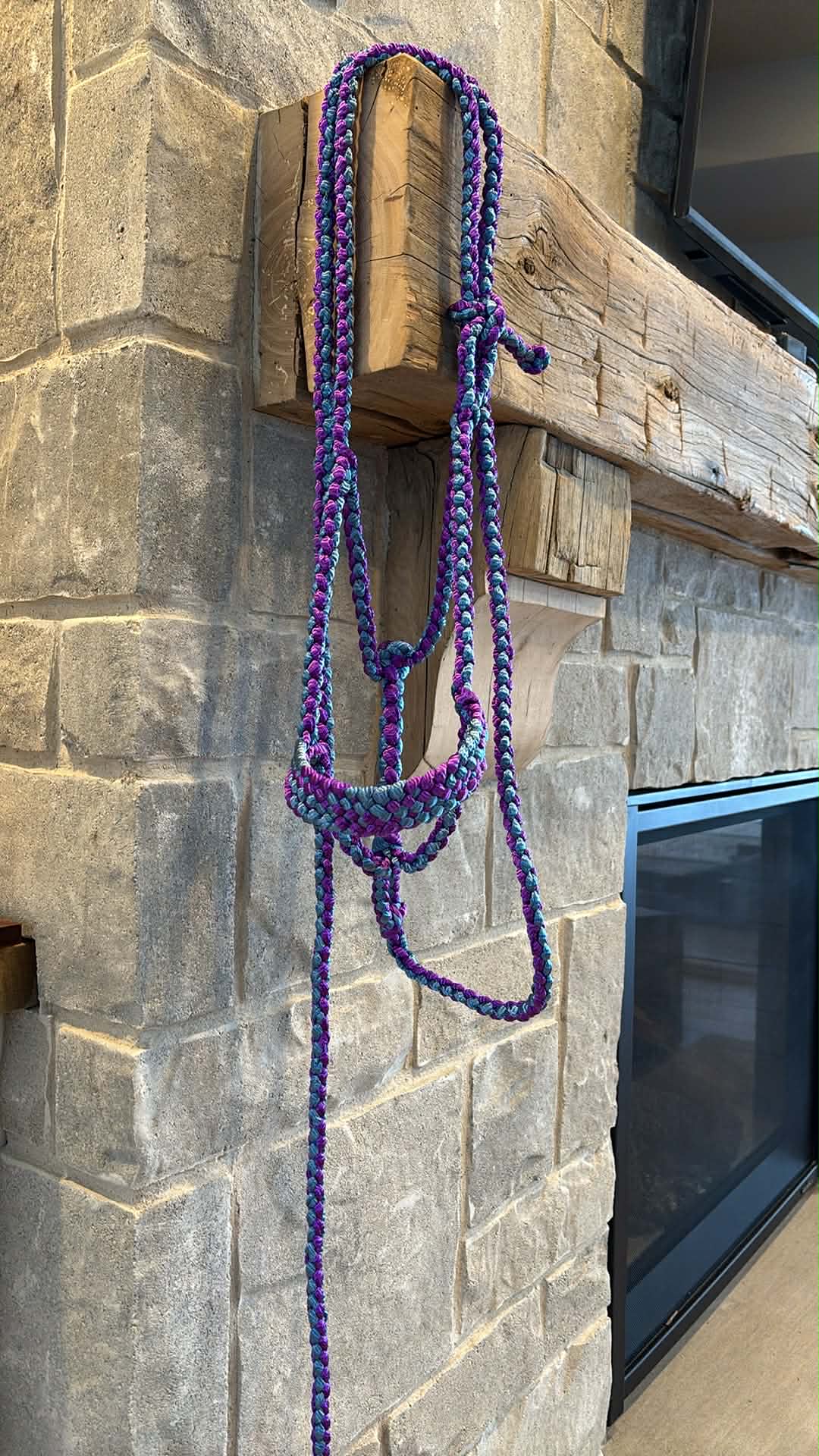 Custom Flat Braid Mule Tape Halter With Hardware